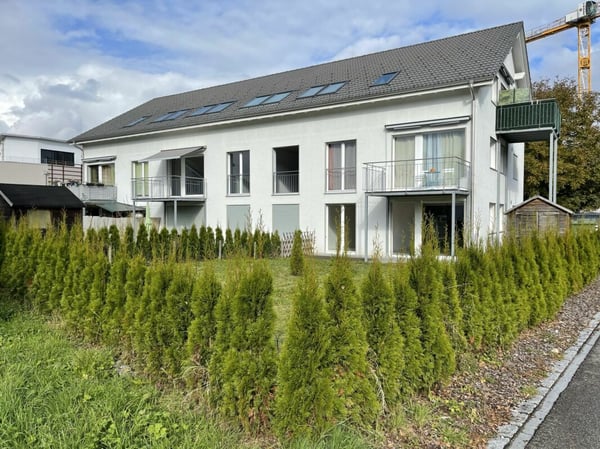 3.5 Zi sonnige Gartenwohnung 4