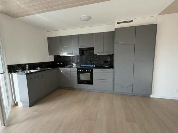 3.5 Zi helle Dach Wohnung 7