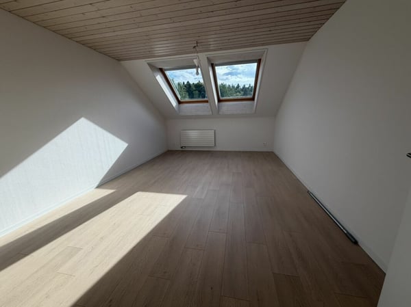 3.5 Zi helle Dach Wohnung 11