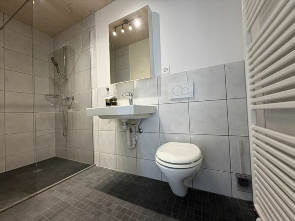 3.5 Zi helle Dach Wohnung 14
