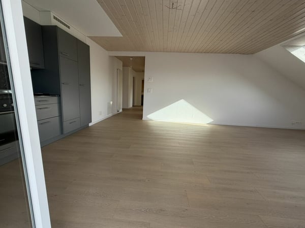 3.5 Zi helle Dach Wohnung 15