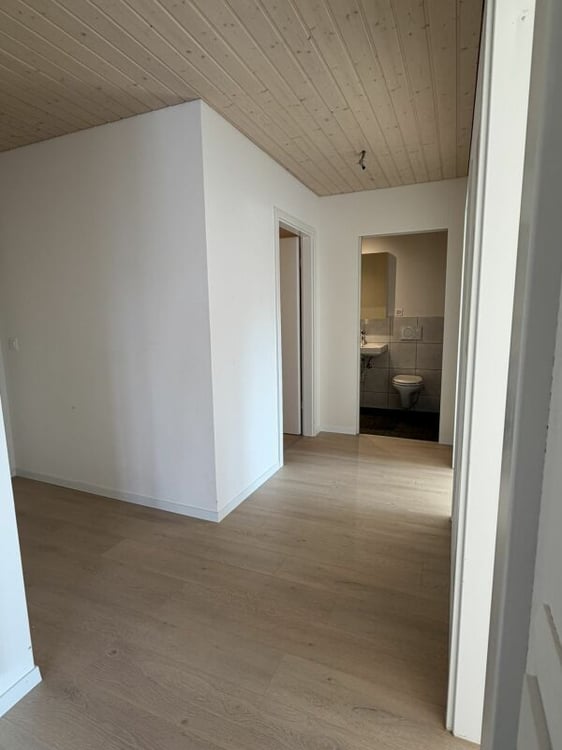 3.5 Zi helle Dach Wohnung 9
