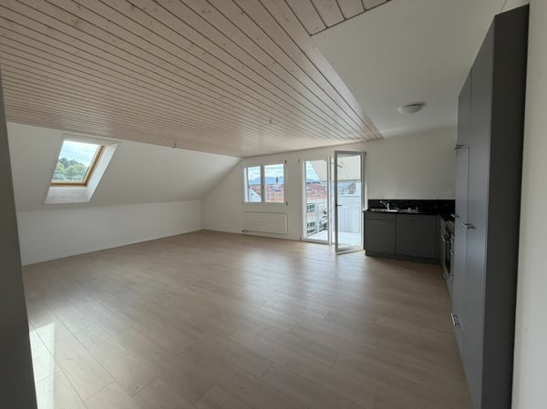 3.5 Zi helle Dach Wohnung 3