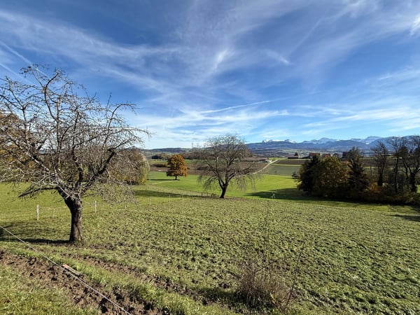 Superbe projet de transformation/réno - possibilité de création de 2 appartements et box de stockage 6