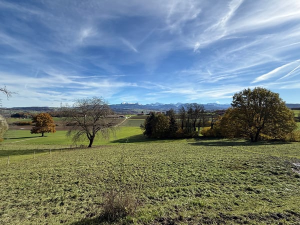 Superbe projet de transformation/réno - possibilité de création de 2 appartements et box de stockage 5