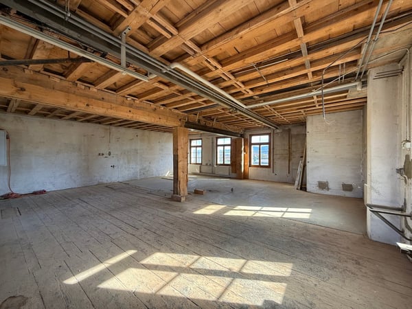 Superbe projet de transformation/réno - possibilité de création de 2 appartements et box de stockage 10