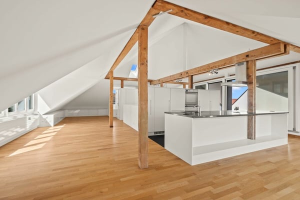 2.5-Zimmer Loftwohnung mit Blick auf Kannenfeldpark