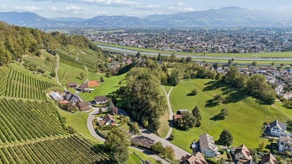 Maisonettewohnung mit Einliegerwohnung, Garten und Aussicht über das Rheintal 2