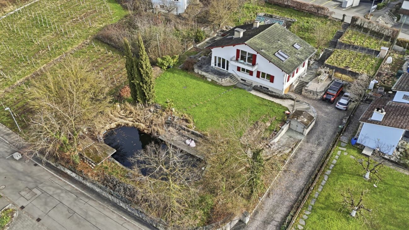 Einzigartiges Anwesen mit Naturpool, Weinberg und Spa-Oase in traumhafter Lage von Klingnau