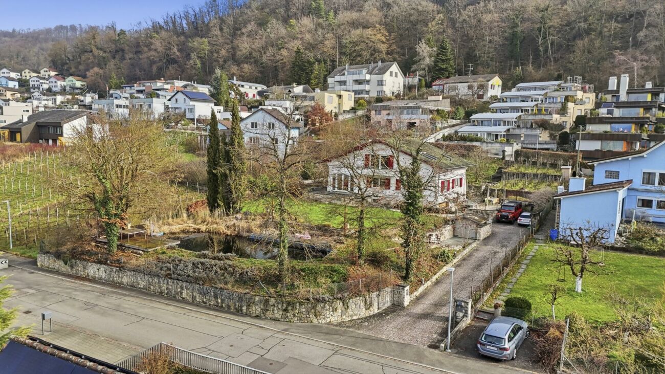Einzigartiges Anwesen mit Naturpool, Weinberg und Spa-Oase in traumhafter Lage von Klingnau