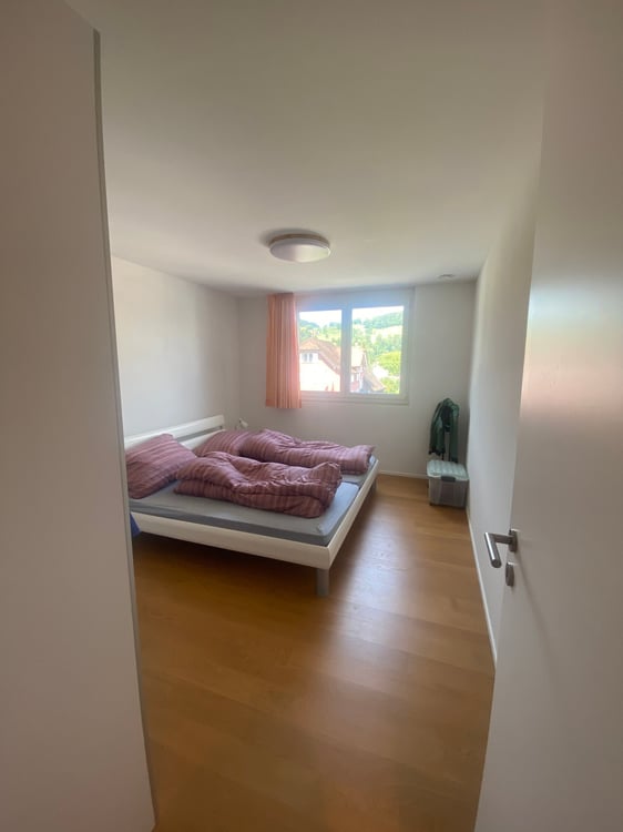 Moderne 4.5-Zimmer-Wohnung mit Balkon in Oberriet SG 9