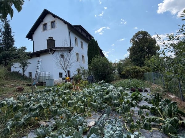 Immeuble de 5 appartements 3