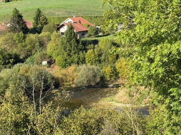 Chalet 4