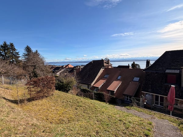 Appartement de 3.5 pièces avec vue sur le lac 9