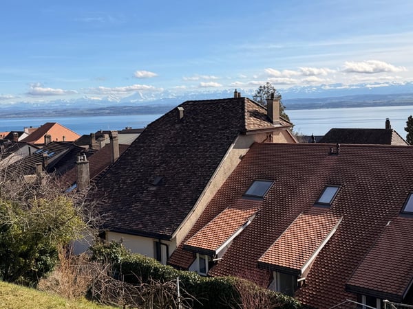 Appartement de 3.5 pièces avec vue sur le lac 10