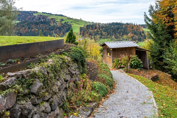 Wohnen im Grünen – charmantes Einfamilienhaus mit eigenem Waldstück in Ulisbach 7
