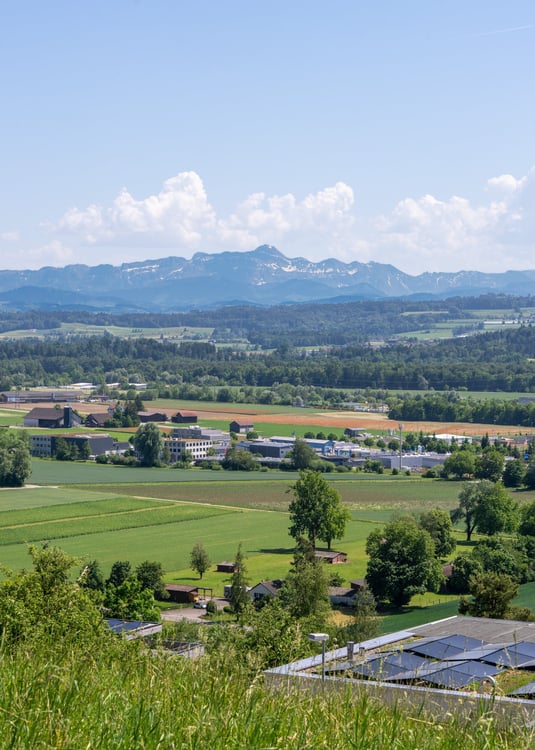 Aperçu de l'image de l'immobilier