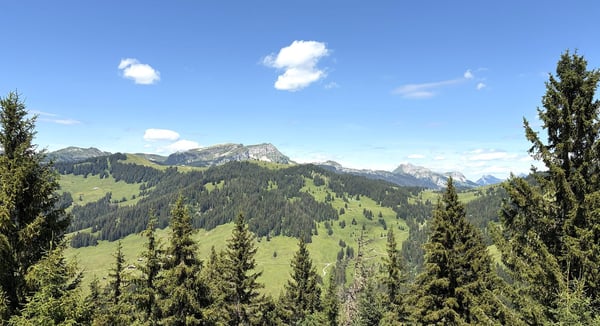 Charmante 3.5-Zimmer-Neubauwohnung mit Bergblick in Habkern 2