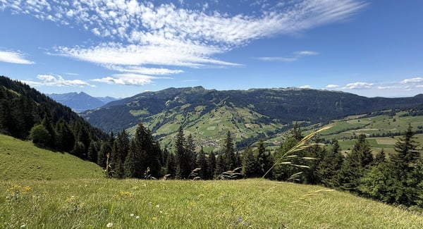 Charmante 3.5-Zimmer-Neubauwohnung mit Bergblick in Habkern