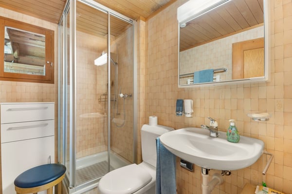 Bauernhaus / Ferienhaus mit separaten Doppelgaragen 36