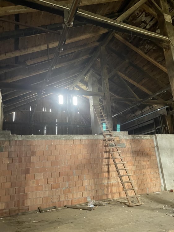 VENDRE - Ferme d'exception aux Franches-Montagnes avec potentiel unique 8