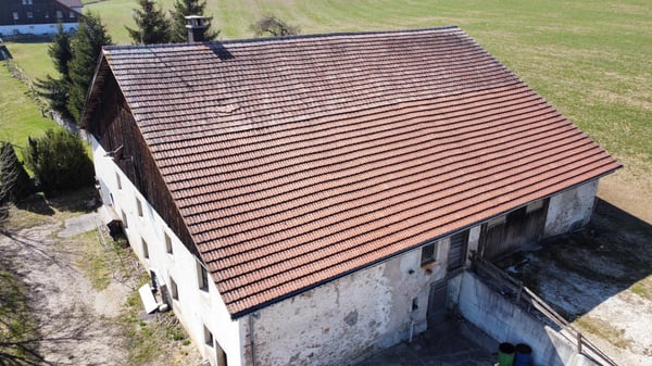 VENDRE - Ferme d'exception aux Franches-Montagnes avec potentiel unique 6