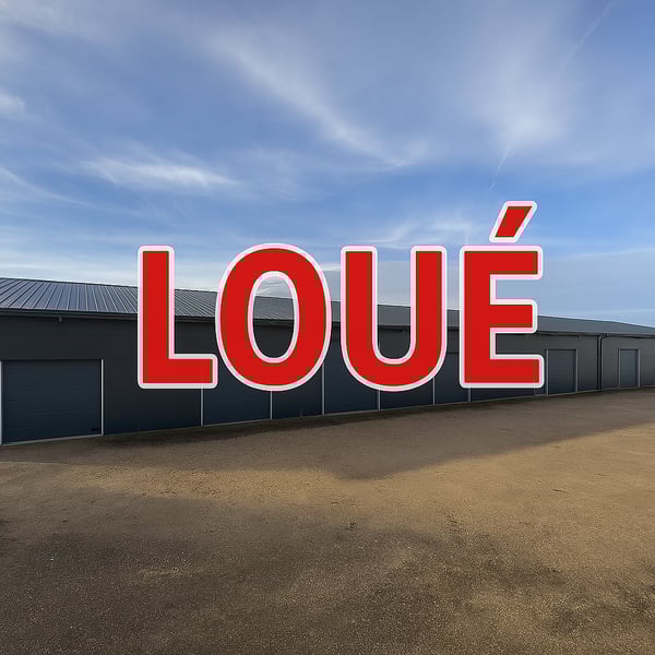 Dépôt / Atelier avec porte sectionnelle ? idéal artisan, stockage ou petite activité 1