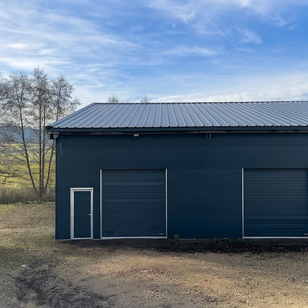 Dépôt / Atelier avec porte sectionnelle ? idéal artisan, stockage ou petite activité 4