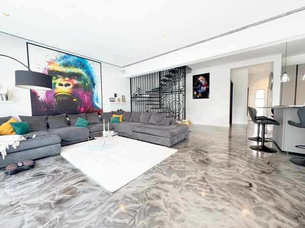 VILLA MITOYENNE D'EXCEPTION AU COEUR DE BEX 3