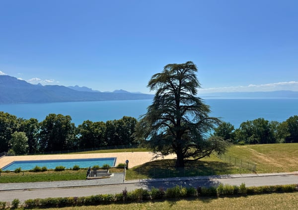 4.5P AVEC UNE VUE À COUPER LE SOUFFLE MEUBLÉ 4