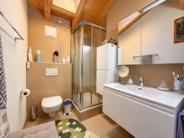 MAGNIFIQUE ATTIQUE DE 3.5 PIÈCES AVEC MEZZANINE ET GRAND BALCON À CHAMPLAN 7