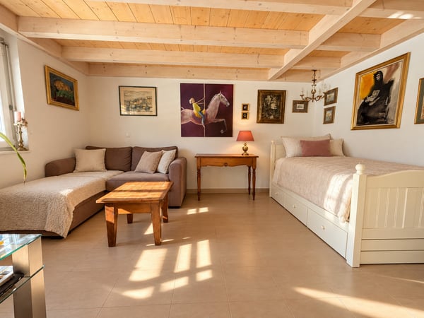 MAGNIFIQUE ATTIQUE DE 3.5 PIÈCES AVEC MEZZANINE ET GRAND BALCON À CHAMPLAN 6