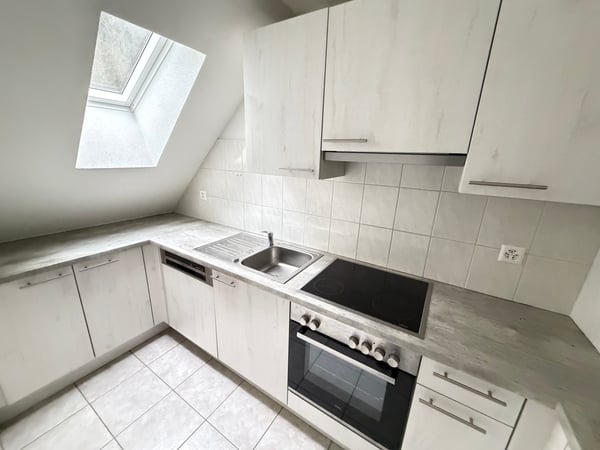 Grand appartement de 1.5 pièces avec salle de bain moderne et grande cuisine disponible ! 1