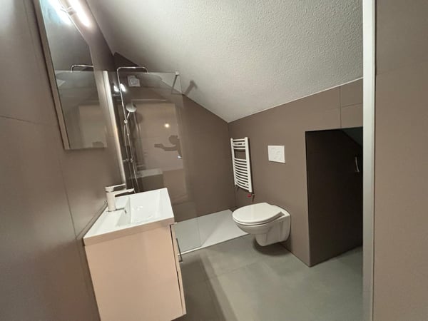 Geräumige 1-Zimmer-Wohnung in Aarwangen 10