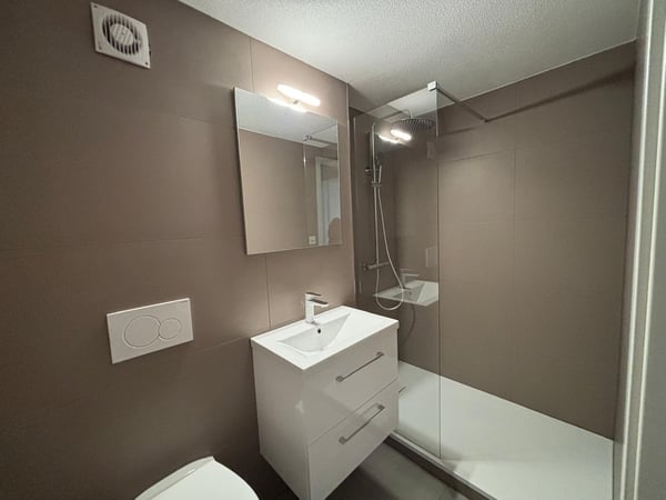 Geräumige 1-Zimmer-Wohnung in Aarwangen 4