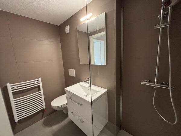 Geräumige 1-Zimmer-Wohnung in Aarwangen 5