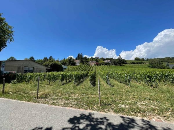 A vendre atelier/box en duplex de 80 m² en zone artisanale d'Echandens 1