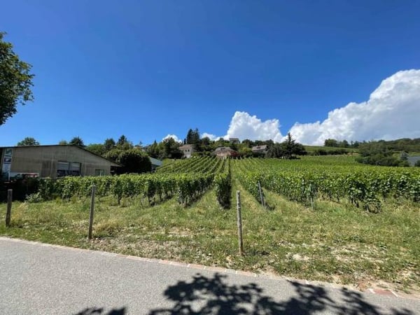 A vendre atelier/arcade de 56 m² en zone artisanale d'Echandens 2