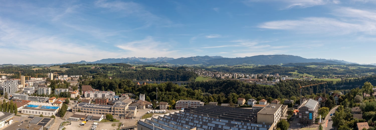 Aerial view of the city with many buildings, greenery, and mountains