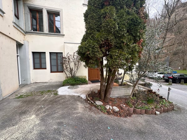 Appartement entièrement rénové avec jardin privatif au cœur de la Basse-Ville de Fribourg 1