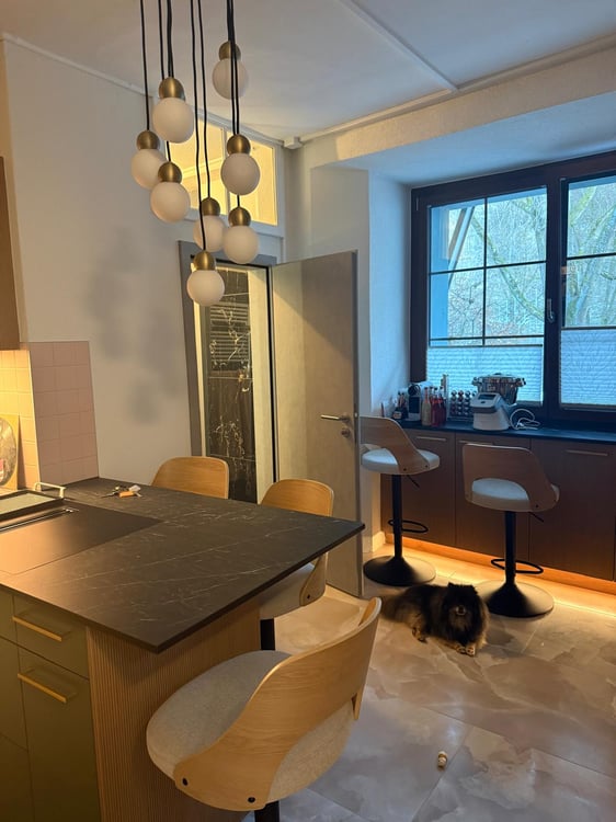 Appartement entièrement rénové avec jardin privatif au cœur de la Basse-Ville de Fribourg 3