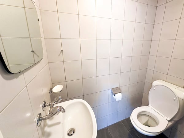 Appartement de 4.5 pièces sous les toits avec séjour entièrement repensé 13