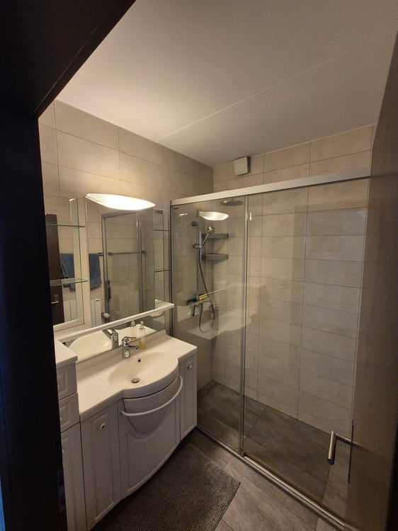 Charmant appartement en attique de 4.5 pièces à Saint-Léonard 11