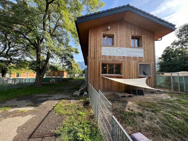 Pension professionnelle canine et féline 5