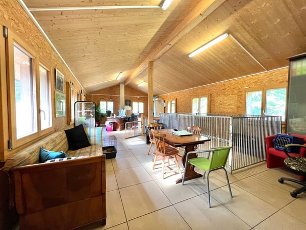 Pension professionnelle canine et féline 7