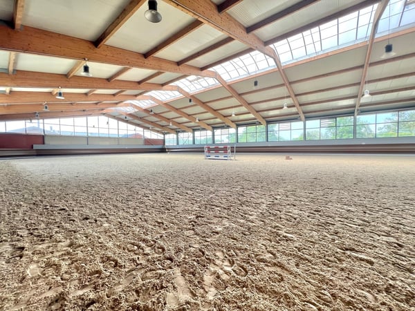 Luxueuse écurie de propriétaires à 20 min de Bâle 5