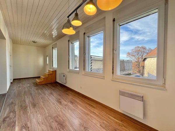 Appartement atypique 1.5 pièces avec grande terrasse 4