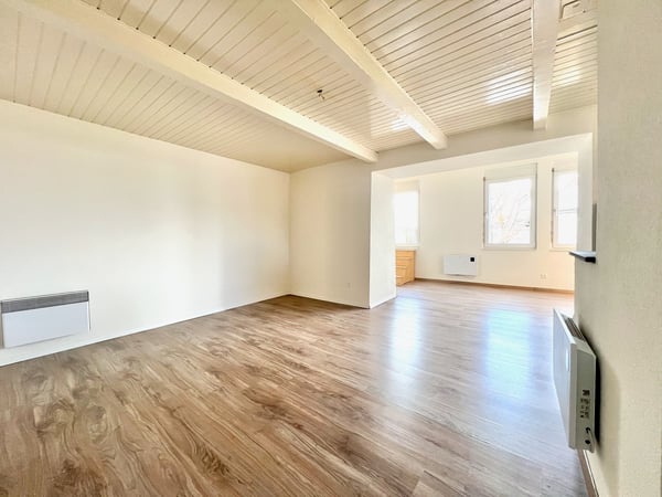 Appartement atypique 1.5 pièces avec grande terrasse 2