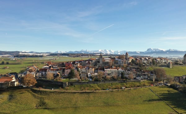 Appartement atypique 1.5 pièces avec grande terrasse 1