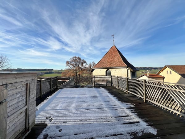 Appartement atypique 1.5 pièces avec grande terrasse 8
